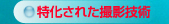 ꂽBeZp