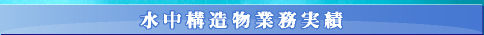 \Ɩ