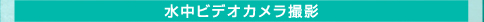 水中ビデオカメラ撮影